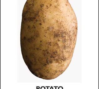 Potato by John Reader