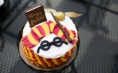 Harry Potter’s Birthday Party!