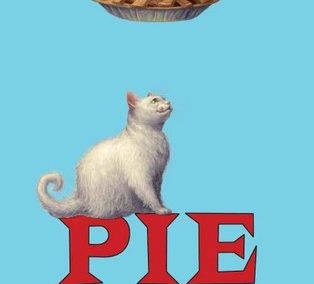 pie by sarah weeks audiobook