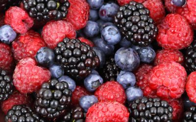 Story Time – Berry Delicious