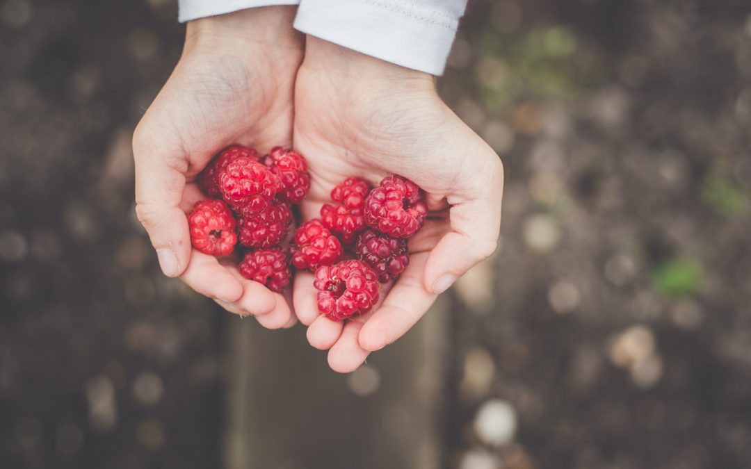 Baby Time – Berry Nice!