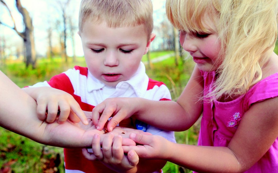 Story Time – Creepy Crawlies