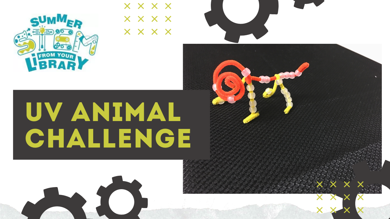 Summer STEM: UV Animal Challenge