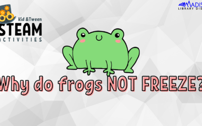 Kids + Tween STEAM Craft: Jumping Frogs