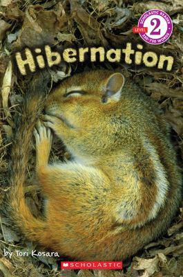 Book cover for Hibernation by Tori Kosara