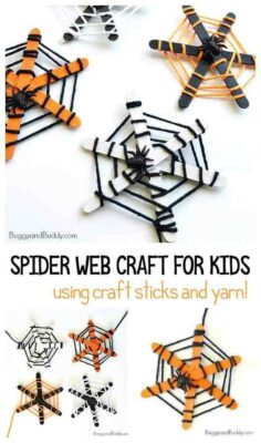 Spiderweb made with yarn and craft sticks.