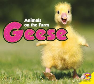 Book cover for Geese by Aaron Carr