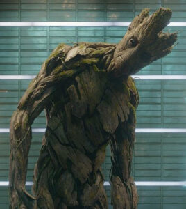 Groot, looking at us sideways