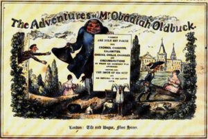 Cover for The Adventures of Mr Obadiah Oldbuck