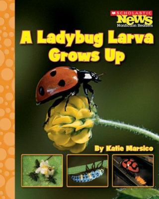 Book cover for A Ladybug Larva Grows Up by Katie Marsico