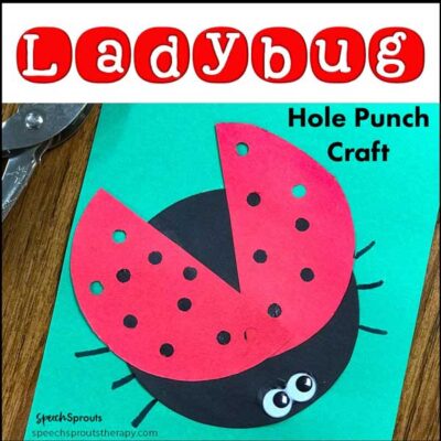 Lady bug made from paper, use a hole punch for the spots.